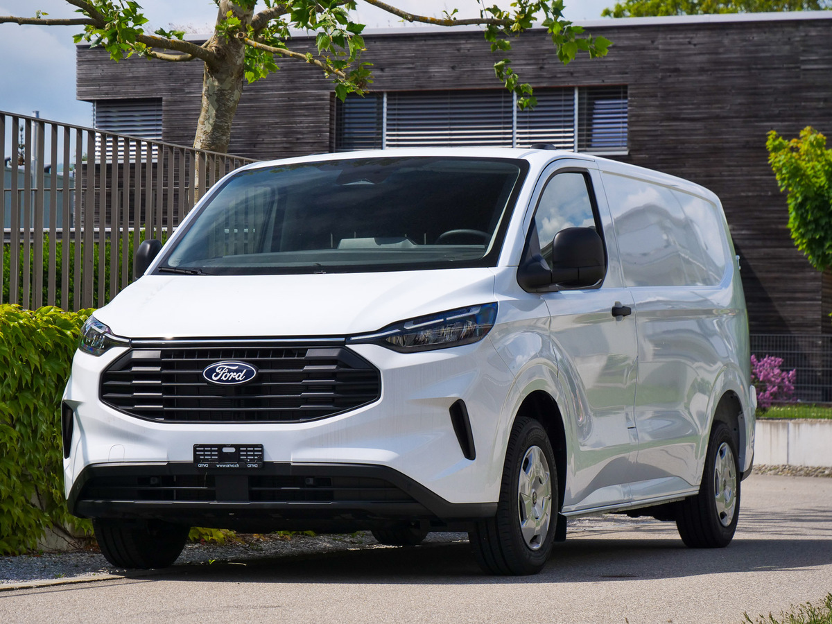 ford-transit-custom-anhngelast-ariva_3.jpg