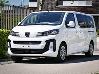 peugeot-expert-auflastung-anhngelast_4.jpg